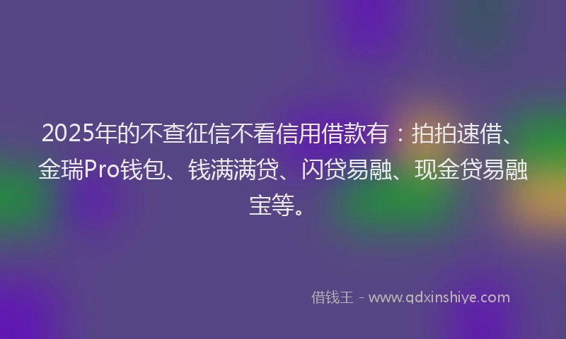 2025年的不查征信不看信用借款有：拍拍速借、金瑞Pro钱包、钱满满贷、闪贷易融、现金贷易融宝等。