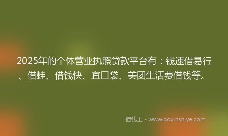 2025年的个体营业执照贷款平台有：钱速借易行、借蛙、借钱快、宜口袋、美团生活费借钱等。