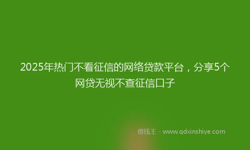 2025年热门不看征信的网络贷款平台，分享5个网贷无视不查征信口子
