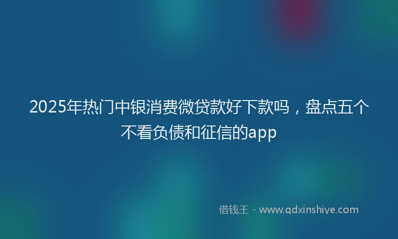 2025年热门中银消费微贷款好下款吗，盘点五个不看负债和征信的app