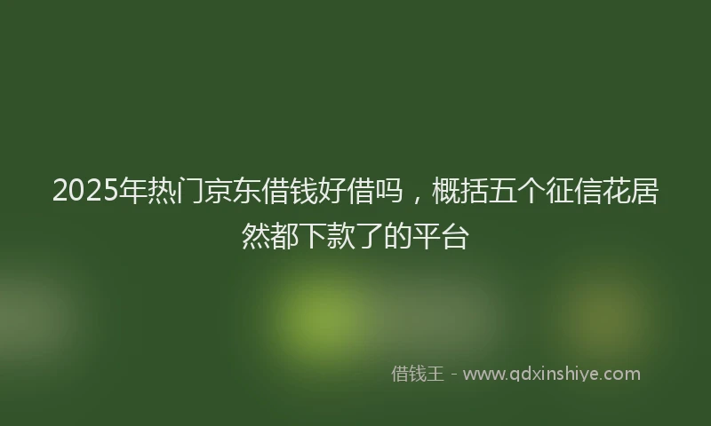 2025年热门京东借钱好借吗，概括五个征信花居然都下款了的平台