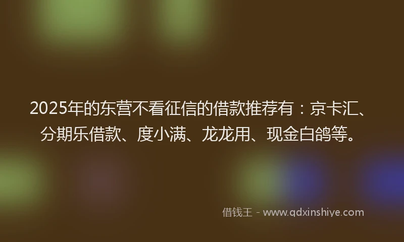 2025年的东营不看征信的借款推荐有：京卡汇、分期乐借款、度小满、龙龙用、现金白鸽等。