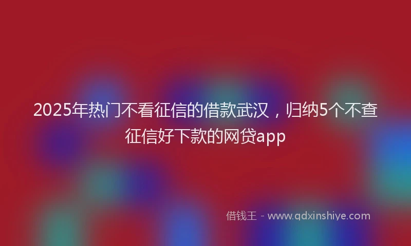 2025年热门不看征信的借款武汉，归纳5个不查征信好下款的网贷app