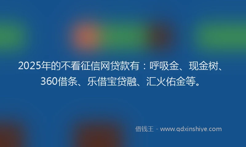 2025年的不看征信网贷款有：呼吸金、现金树、360借条、乐借宝贷融、汇火佑金等。
