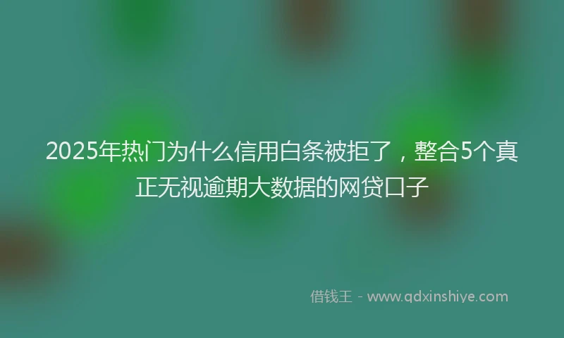 2025年热门为什么信用白条被拒了，整合5个真正无视逾期大数据的网贷口子