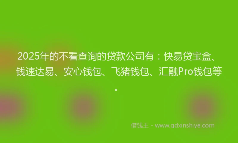 2025年的不看查询的贷款公司有：快易贷宝盒、钱速达易、安心钱包、飞猪钱包、汇融Pro钱包等。
