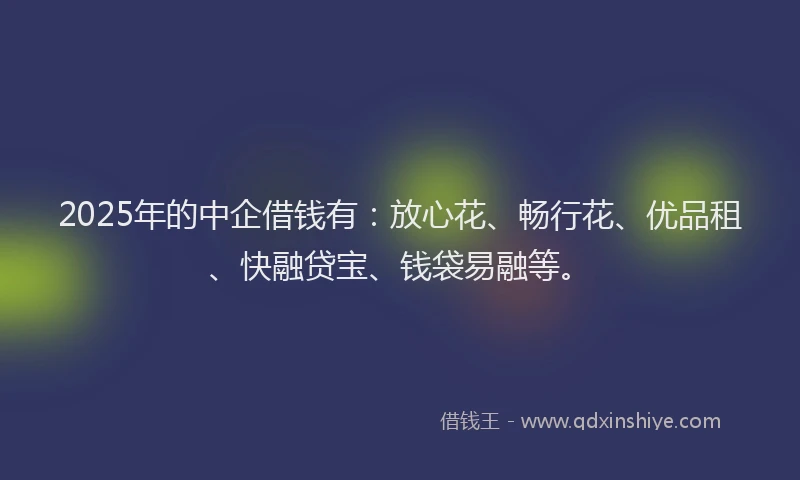 2025年的中企借钱有：放心花、畅行花、优品租、快融贷宝、钱袋易融等。