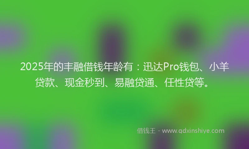 2025年的丰融借钱年龄有：迅达Pro钱包、小羊贷款、现金秒到、易融贷通、任性贷等。
