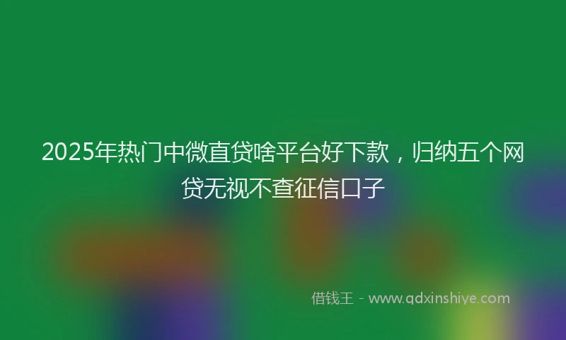 2025年热门中微直贷啥平台好下款，归纳五个网贷无视不查征信口子