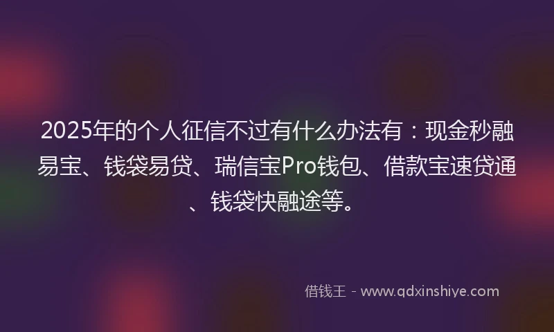 2025年的个人征信不过有什么办法有：现金秒融易宝、钱袋易贷、瑞信宝Pro钱包、借款宝速贷通、钱袋快融途等。