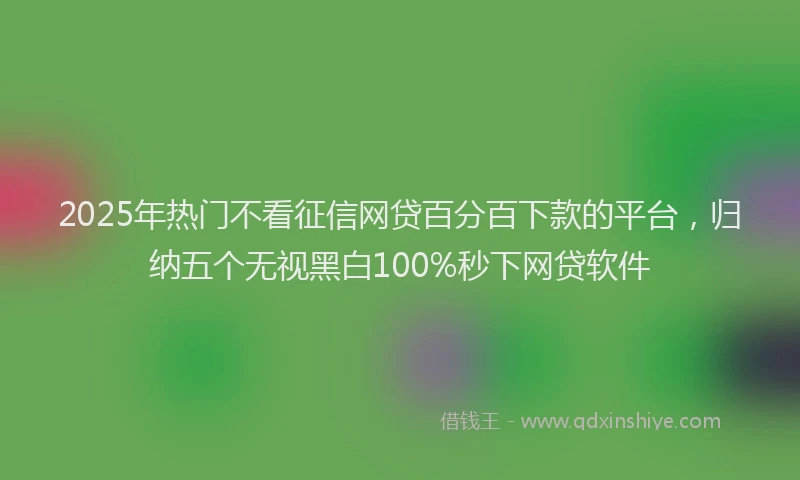 2025年热门不看征信网贷百分百下款的平台，归纳五个无视黑白100%秒下网贷软件