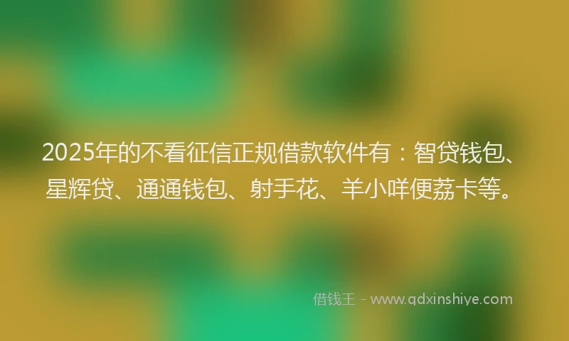 2025年的不看征信正规借款软件有：智贷钱包、星辉贷、通通钱包、射手花、羊小咩便荔卡等。
