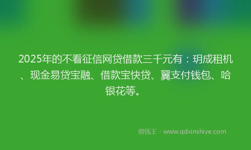 2025年的不看征信网贷借款三千元有：玥成租机、现金易贷宝融、借款宝快贷、翼支付钱包、哈银花等。