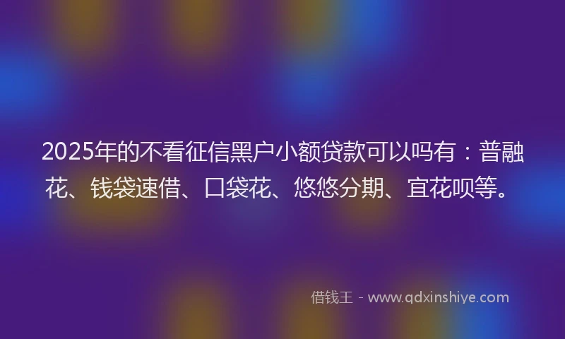 2025年的不看征信黑户小额贷款可以吗有：普融花、钱袋速借、口袋花、悠悠分期、宜花呗等。