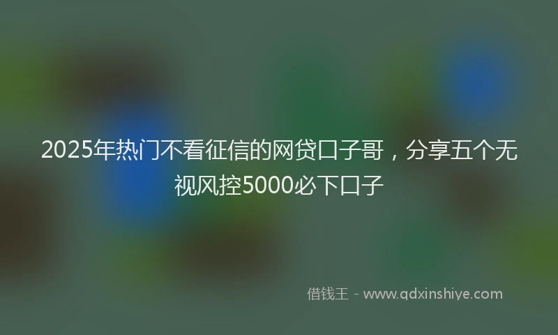 2025年热门不看征信的网贷口子哥，分享五个无视风控5000必下口子