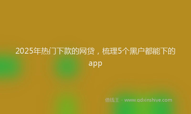 2025年热门下款的网贷，梳理5个黑户都能下的app