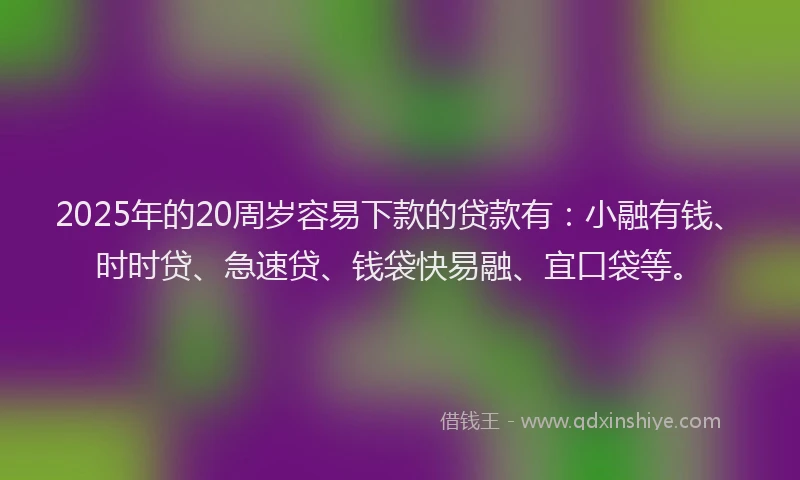 2025年的20周岁容易下款的贷款有：小融有钱、时时贷、急速贷、钱袋快易融、宜口袋等。