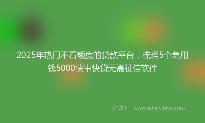 2025年热门不看额度的贷款平台，梳理5个急用钱5000快审快贷无需征信软件