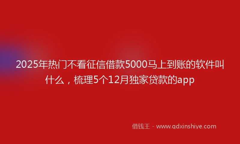 2025年热门不看征信借款5000马上到账的软件叫什么，梳理5个12月独家贷款的app