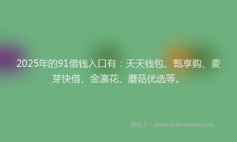 2025年的91借钱入口有：天天钱包、甄享购、麦芽快借、金瀛花、蘑菇优选等。