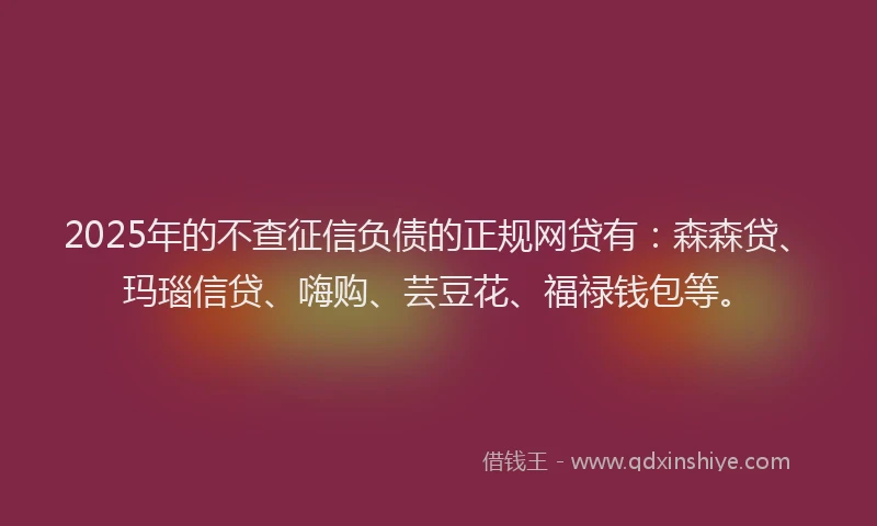 2025年的不查征信负债的正规网贷有：森森贷、玛瑙信贷、嗨购、芸豆花、福禄钱包等。