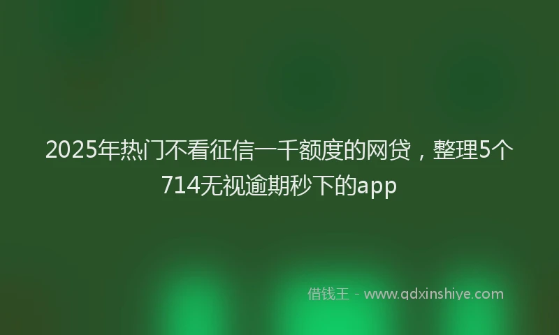 2025年热门不看征信一千额度的网贷，整理5个714无视逾期秒下的app