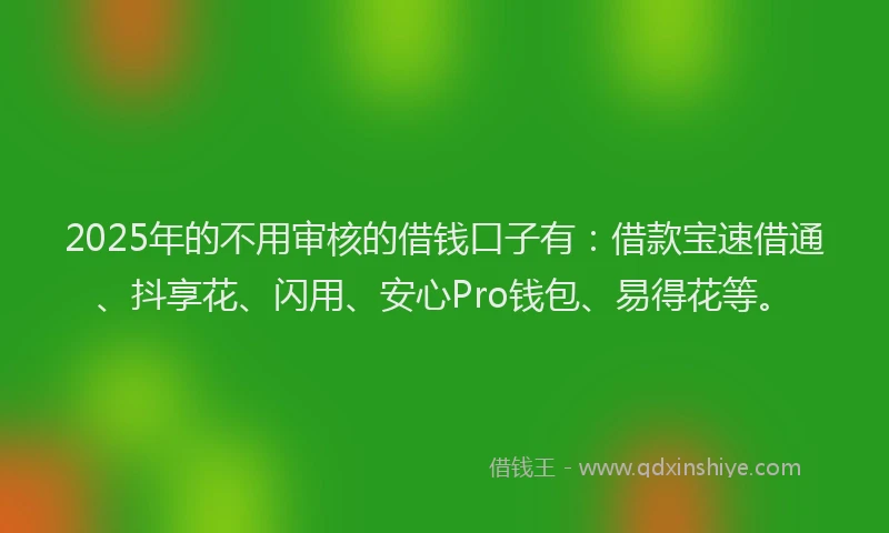 2025年的不用审核的借钱口子有：借款宝速借通、抖享花、闪用、安心Pro钱包、易得花等。