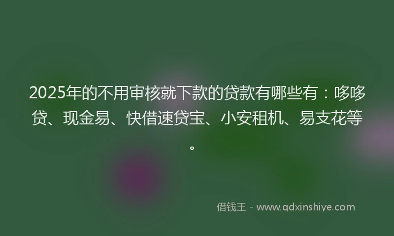 2025年的不用审核就下款的贷款有哪些有：哆哆贷、现金易、快借速贷宝、小安租机、易支花等。