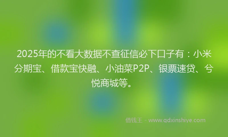 2025年的不看大数据不查征信必下口子有：小米分期宝、借款宝快融、小油菜P2P、银票速贷、兮悦商城等。