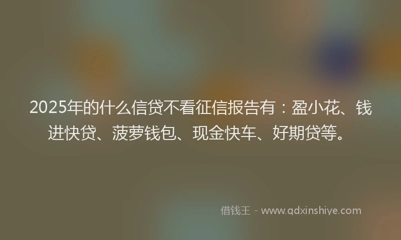 2025年的什么信贷不看征信报告有：盈小花、钱进快贷、菠萝钱包、现金快车、好期贷等。