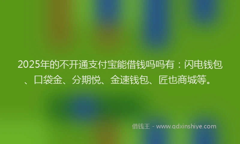 2025年的不开通支付宝能借钱吗吗有：闪电钱包、口袋金、分期悦、金速钱包、匠也商城等。