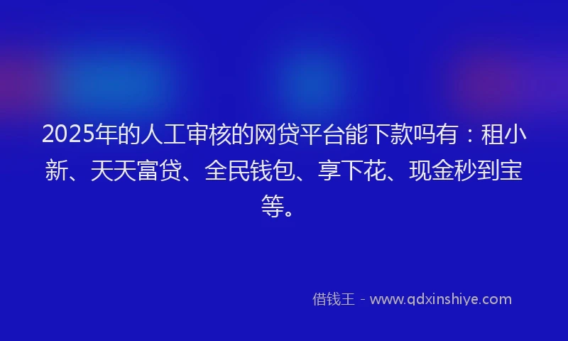 2025年的人工审核的网贷平台能下款吗有：租小新、天天富贷、全民钱包、享下花、现金秒到宝等。