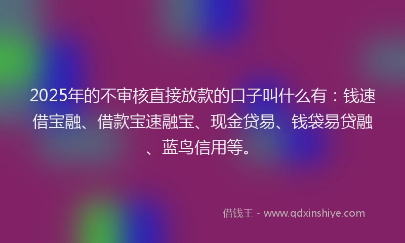 2025年的不审核直接放款的口子叫什么有：钱速借宝融、借款宝速融宝、现金贷易、钱袋易贷融、蓝鸟信用等。