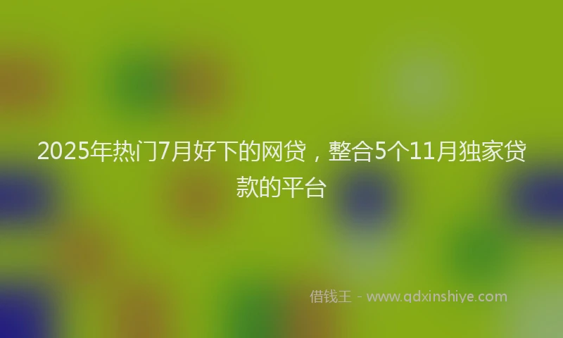2025年热门7月好下的网贷，整合5个11月独家贷款的平台