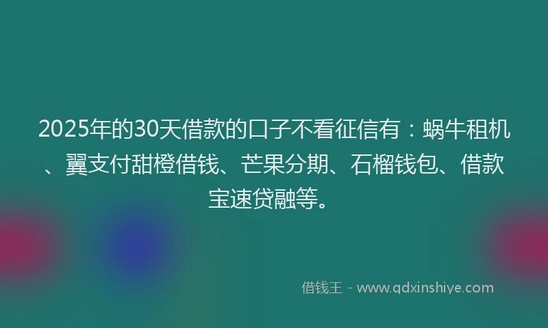 2025年的30天借款的口子不看征信有：蜗牛租机、翼支付甜橙借钱、芒果分期、石榴钱包、借款宝速贷融等。