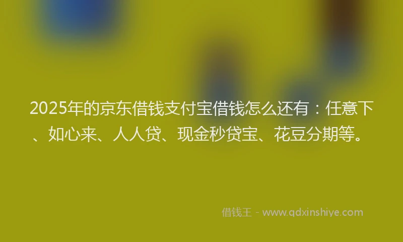 2025年的京东借钱支付宝借钱怎么还有：任意下、如心来、人人贷、现金秒贷宝、花豆分期等。
