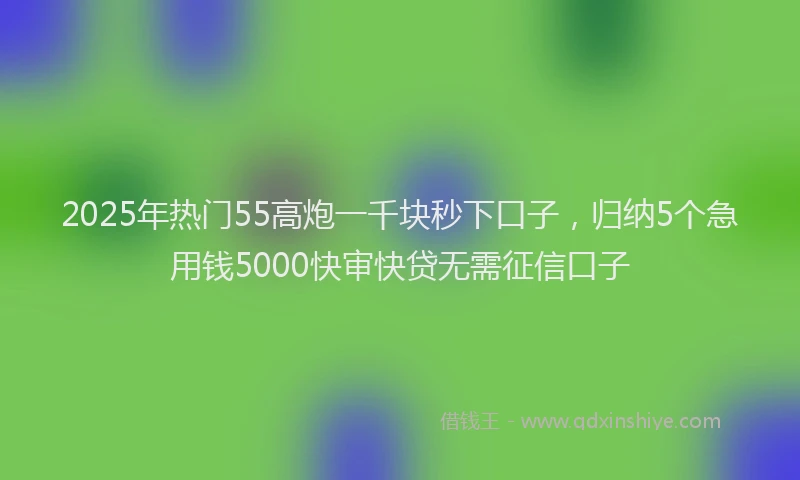 2025年热门55高炮一千块秒下口子，归纳5个急用钱5000快审快贷无需征信口子