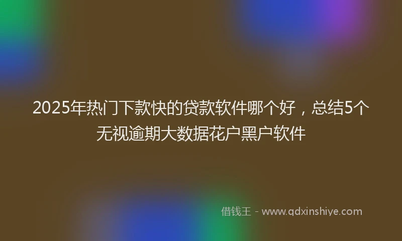 2025年热门下款快的贷款软件哪个好，总结5个无视逾期大数据花户黑户软件