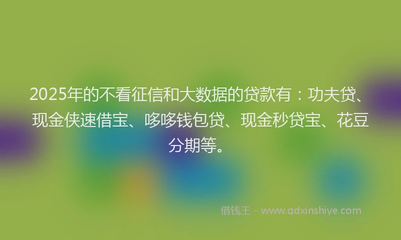 2025年的不看征信和大数据的贷款有：功夫贷、现金侠速借宝、哆哆钱包贷、现金秒贷宝、花豆分期等。