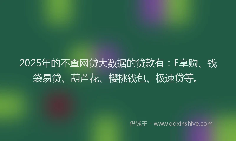 2025年的不查网贷大数据的贷款有：E享购、钱袋易贷、葫芦花、樱桃钱包、极速贷等。