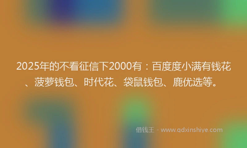 2025年的不看征信下2000有：百度度小满有钱花、菠萝钱包、时代花、袋鼠钱包、鹿优选等。