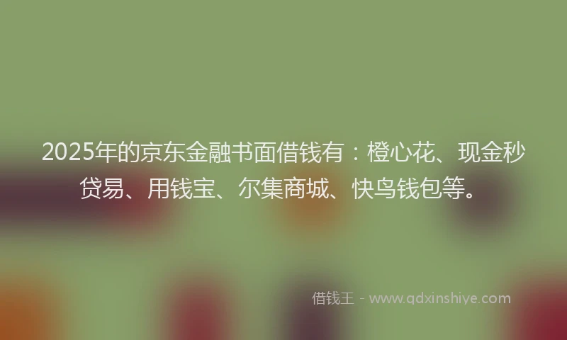 2025年的京东金融书面借钱有：橙心花、现金秒贷易、用钱宝、尔集商城、快鸟钱包等。