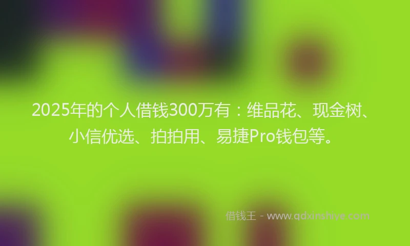 2025年的个人借钱300万有：维品花、现金树、小信优选、拍拍用、易捷Pro钱包等。