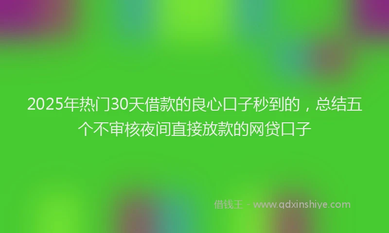2025年热门30天借款的良心口子秒到的，总结五个不审核夜间直接放款的网贷口子