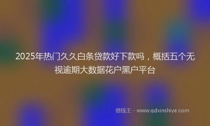2025年热门久久白条贷款好下款吗，概括五个无视逾期大数据花户黑户平台