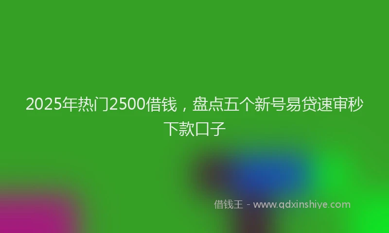 2025年热门2500借钱，盘点五个新号易贷速审秒下款口子