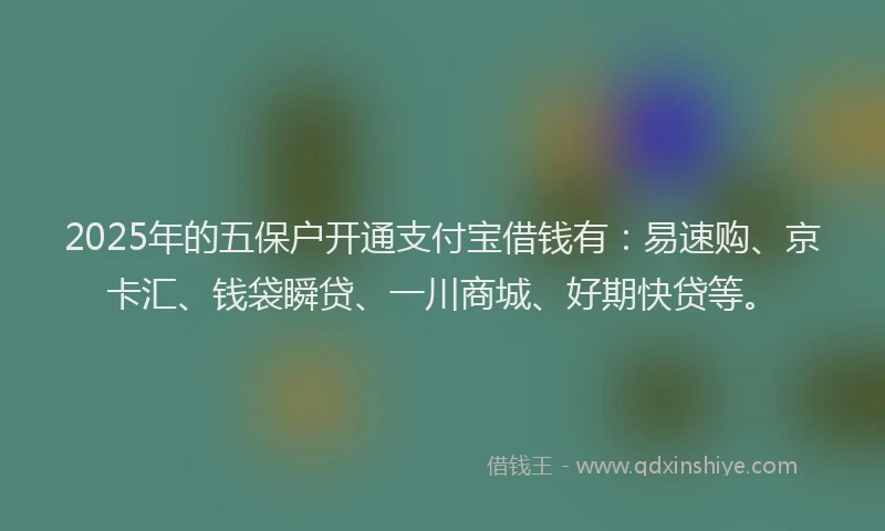 2025年的五保户开通支付宝借钱有：易速购、京卡汇、钱袋瞬贷、一川商城、好期快贷等。