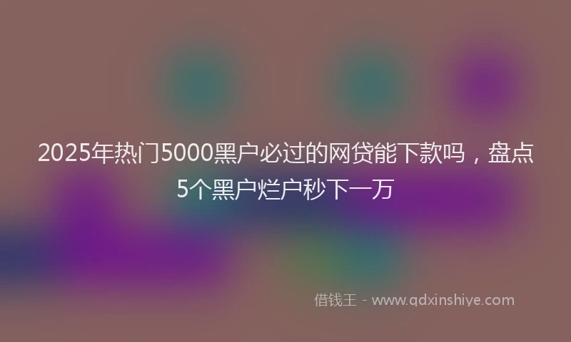 2025年热门5000黑户必过的网贷能下款吗，盘点5个黑户烂户秒下一万