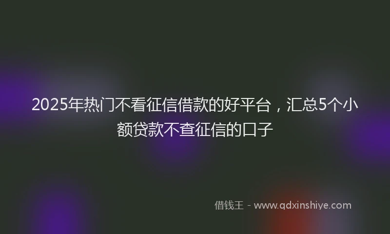 2025年热门不看征信借款的好平台，汇总5个小额贷款不查征信的口子