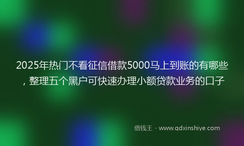 2025年热门不看征信借款5000马上到账的有哪些，整理五个黑户可快速办理小额贷款业务的口子